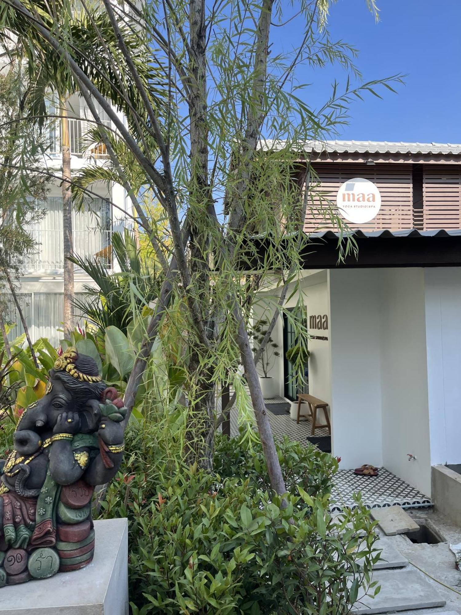 Lis Hotel Chiangmai Chiang Mai Extérieur photo